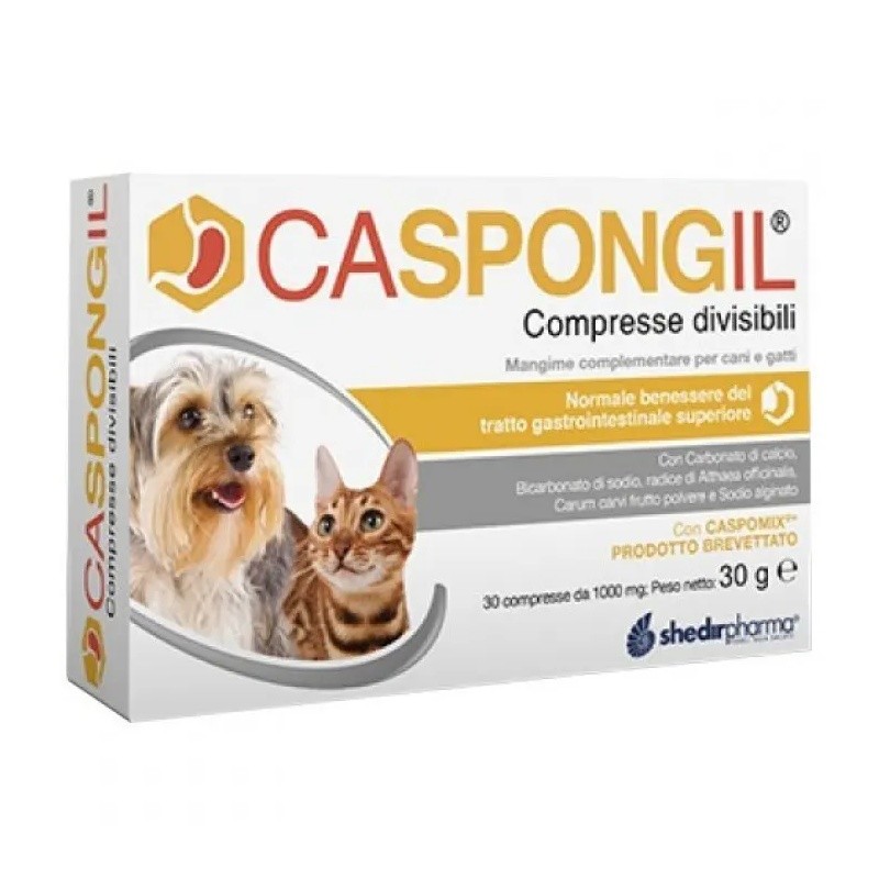 Immagine del prodotto